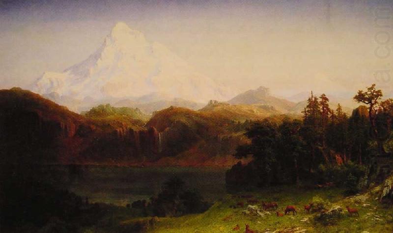 Albert Bierstadt Mount Hood, Oregon china oil painting image